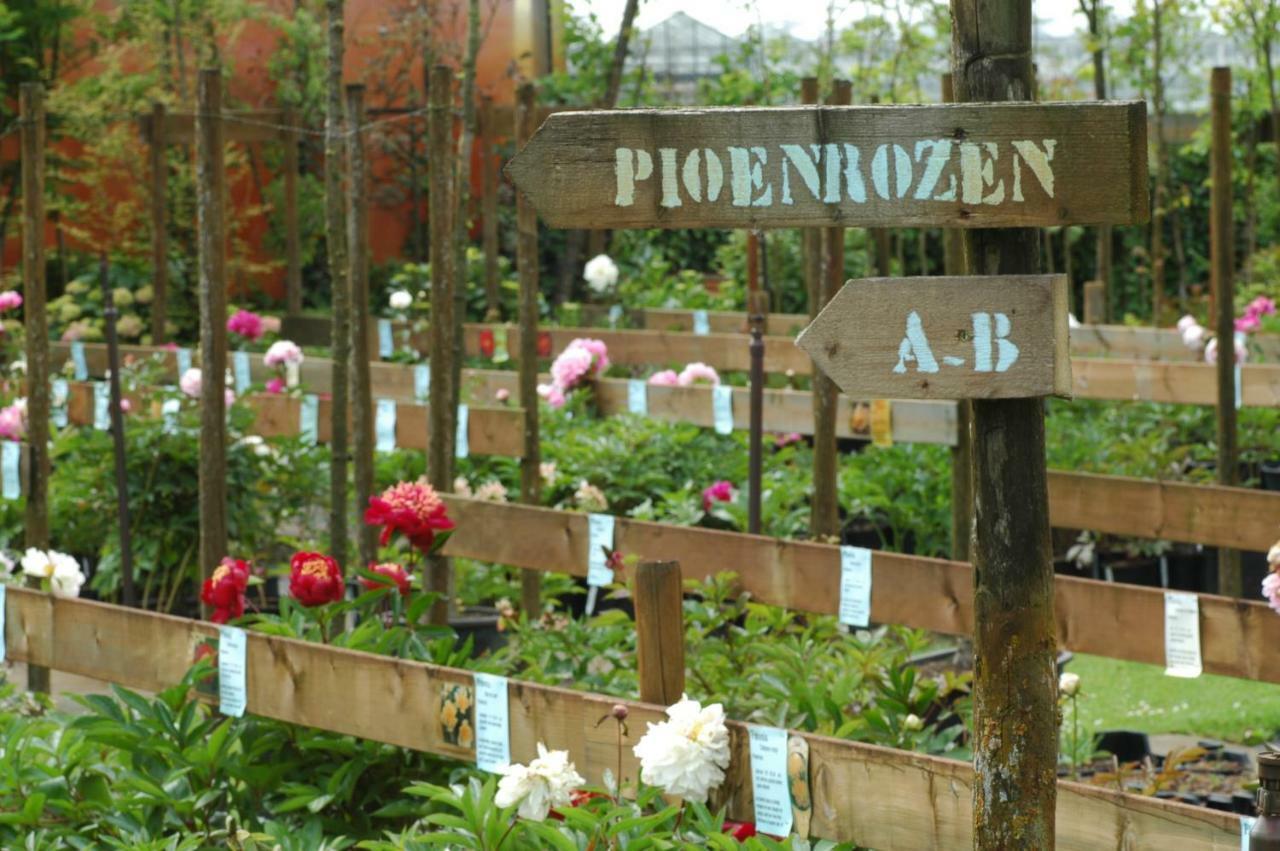 Pipowagen Overnachting Het Houten Huis 잘트보멀 외부 사진